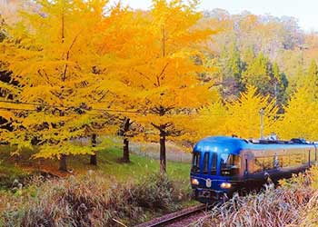 ライトアップ期間